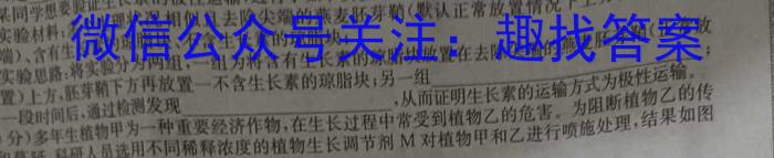 [泰安二模]山东省泰安市2023-2024学年高三二轮检测数学