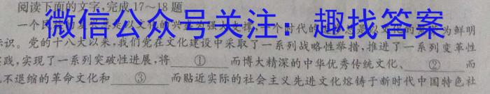 2024届琢名小渔 河北省高三模拟考试(5月)语文