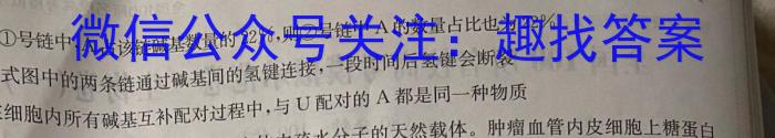 兴平市2024年初中学业水平考试模拟试题(三)数学