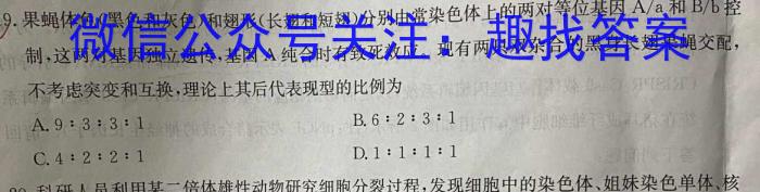 牡丹江二中2023-2024学年度第二学期高一学年期中考试(9203A)生物学试题答案