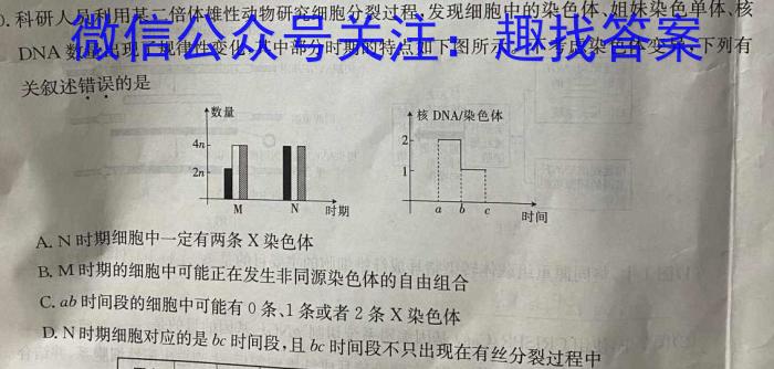 江西省2024年中考总复习·模拟卷(四)4数学