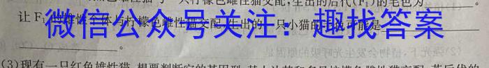 河北省2023-2024学年度重点高中高二4月联考数学h