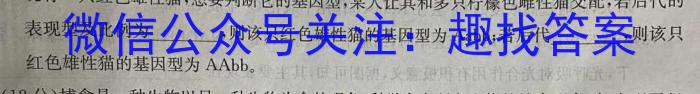 2024年湖北省新高考信息卷(四)数学