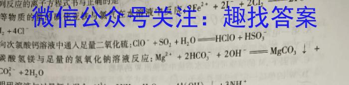 广东省2024年4月高一阶段性联合质量检测卷数学