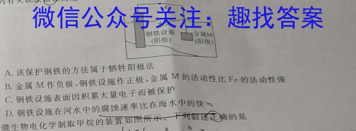 2024届广西三新学术联盟百校联考(5月)数学