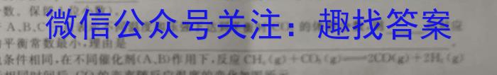 【精品】安徽省2024年淮南市中考·加油卷化学