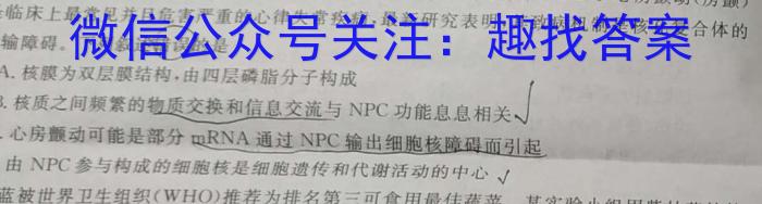 名校之约系列 2024届高三新高考精准备考猜题卷(二)2生物学试题答案