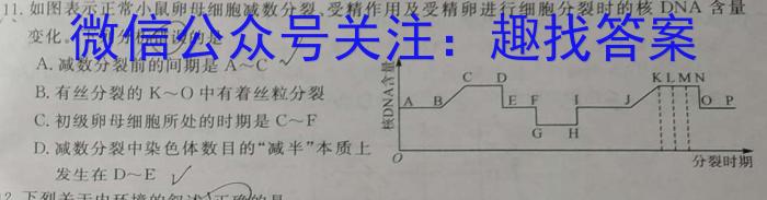 [阳光启学]2024届全国统一考试标准模拟信息卷(四)数学