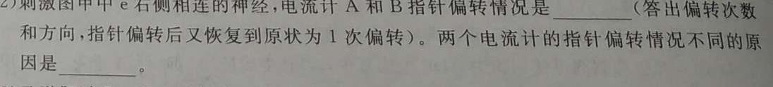 广东省肇庆市2023-2024学年第二学期高一年级期末教学质量检测试题(数学)