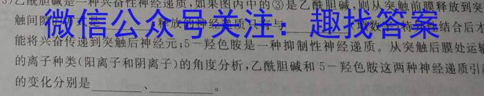 2024年河南省新高考信息卷(四)数学