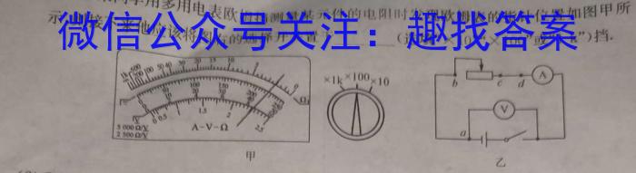 湖南省邵阳市2024届高三上学期期末考试物理`