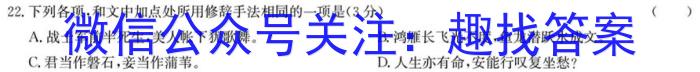 衡水名师卷 2024年高考模拟调研卷(新教材▣)(四)4语文