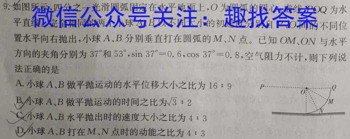 安徽省界首市2023-2024学年度（上）期末学业结果诊断性评价f物理