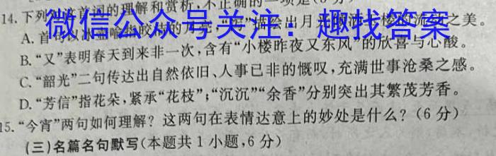 甘肃省2023-2024学年高二阶段检测(■)语文