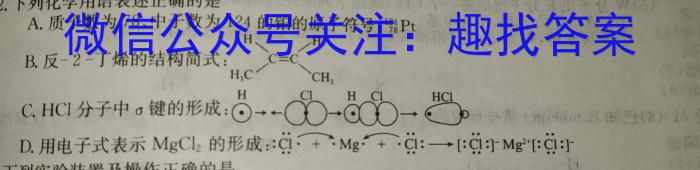 q湖北省武汉市2023~2024学年度高三元月调考化学