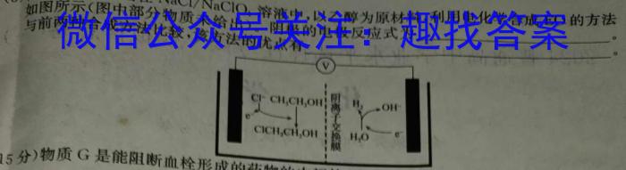 真题密卷冲顶实战演练 2024年普通高等学校招生全国统一考试模拟试题(一)化学