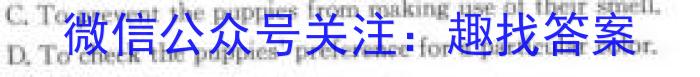У2024һϿӢx