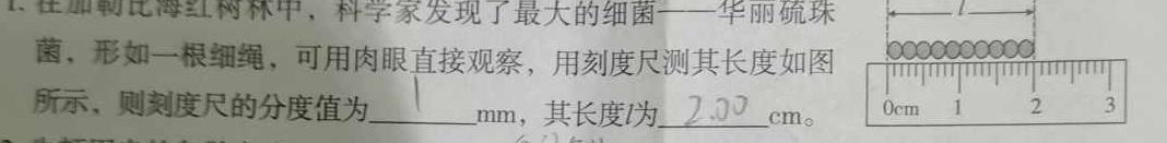 [今日更新]2024年河北省九地市初三摸底知识练习(5月).物理试卷答案