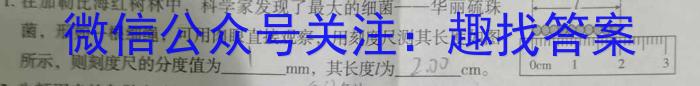 ӱʡ2023-2024ѧһڶѧĩѧxԾ