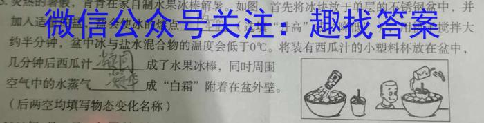 2024年浙江省"山海联盟"初中学业水平考试物理试题答案