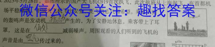 河南省2024年九年级中招适应性测试(四)物理`