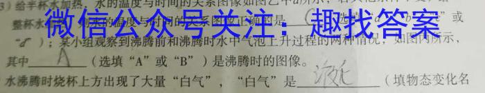 陕西省2024届高三第四次校际联考(1月)物理`