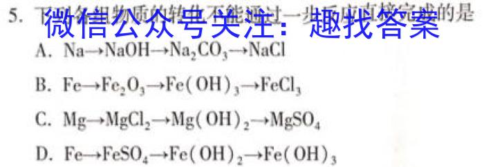 【精品】2023-2024学年安徽省七年级教学质量检测(五)化学