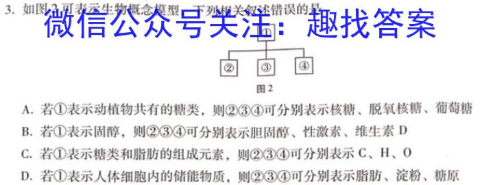 安徽省2024年安庆市示范高中高三联考数学