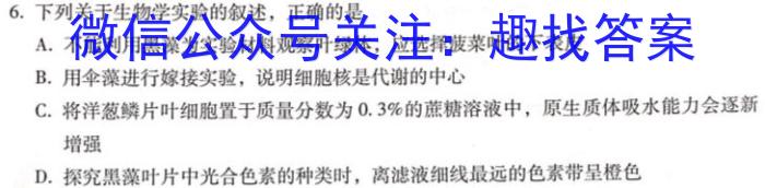 重庆乌江新高考协作体2025届高考质量调研（一）数学