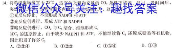 河南省三门峡市2024年中招第一次模拟考试数学