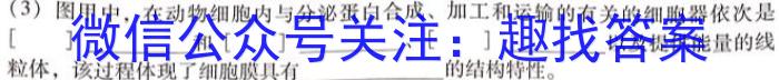 湖北省黄石市部分学校2023-2024学年度第一学期高二年级期末联考生物学试题答案