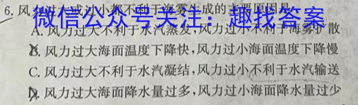 炎德英才大联考 湖南师大附中2025届高三月考试卷(一)1地理试卷答案