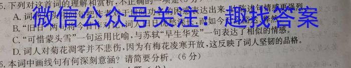 广西省南宁市2025届新高三9月摸底测试语文