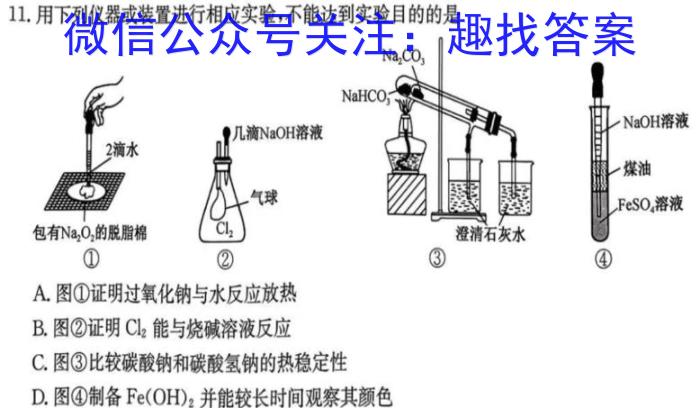 2024年初中毕业生升学文化课摸底考试化学