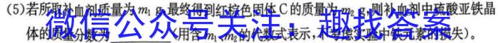 江西省2024年初中学业水平考试冲刺练习（三）化学