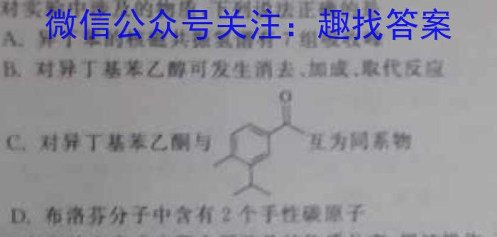 2024年长安区高三第一次模拟考试数学