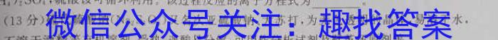 娄底市2024届高考仿真模拟考试(3.27)化学