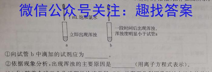 q文博志鸿 2024年河南省普通高中招生考试模拟试卷(导向二)化学