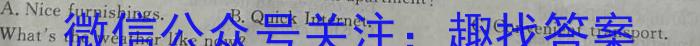 2024年河南省普通高中毕业班高考适应性测试英语