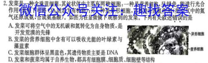 2023-2024年度河南省高三上学期期末检测(24-307C)生物学试题答案