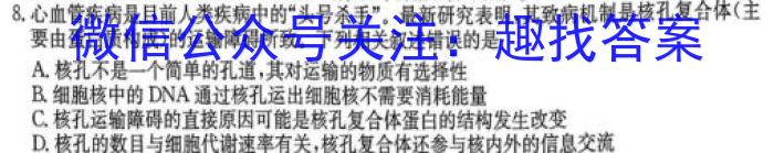 2024届江西省高三4月联考(24-450C)数学