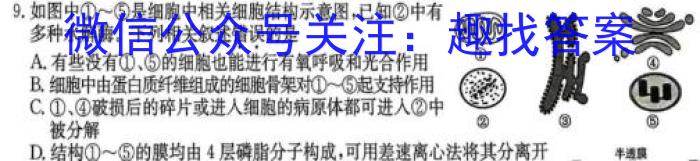 广东省(北中、河中、清中、惠中、阳中、茂中)2023-2024学年高一第二学期联合质量监测(4403A)数学