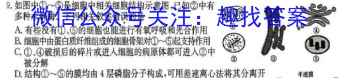 2024年普通高等学校招生全国统一考试临考猜题卷(AA)数学