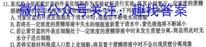 陕西省榆阳区2023-2024学年度第一学期九年级期末检测A数学