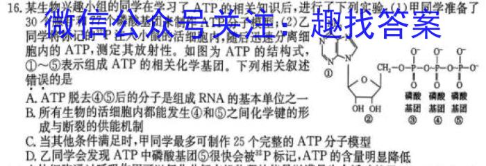 2024年湖南省高三名校联考模拟卷(三)生物学试题答案