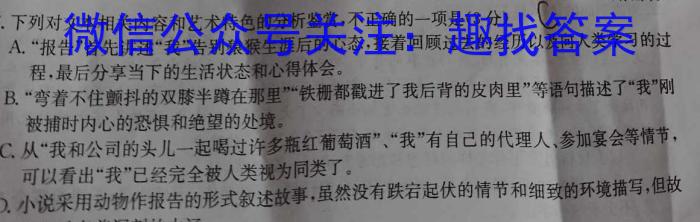 安徽省合肥市庐江县2024届九年级中考模拟4月联考语文