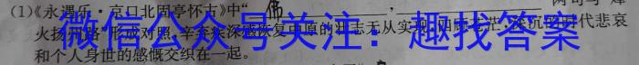 辽宁省铁西区2024年九年级阶段性测试/语文