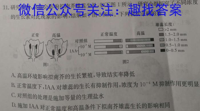 安徽省合肥市庐江县2023-2024学年度第二学期八年级期中练习数学