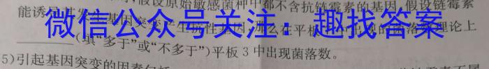 河北省赵县2023-2024学年度第二学期期末学业质量检测七年级数学