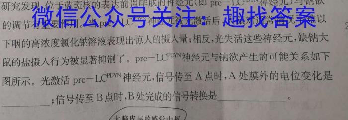 安徽省2023-2024学年第二学期八年级第一次综合性作业设计生物学试题答案